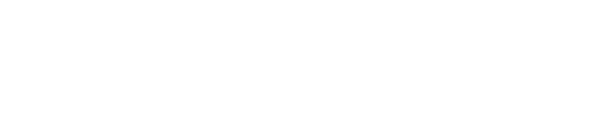 D. Fuhrer Transport Sàrl